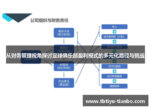 从财务管理视角探讨足球俱乐部盈利模式的多元化路径与挑战