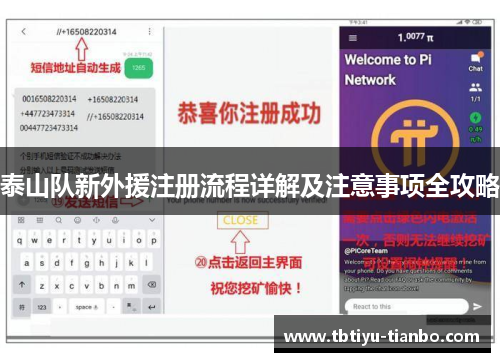 泰山队新外援注册流程详解及注意事项全攻略