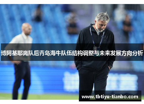 博阿基耶离队后青岛海牛队伍结构调整与未来发展方向分析