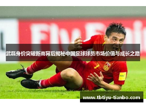 武磊身价突破新高背后揭秘中国足球球员市场价值与成长之路