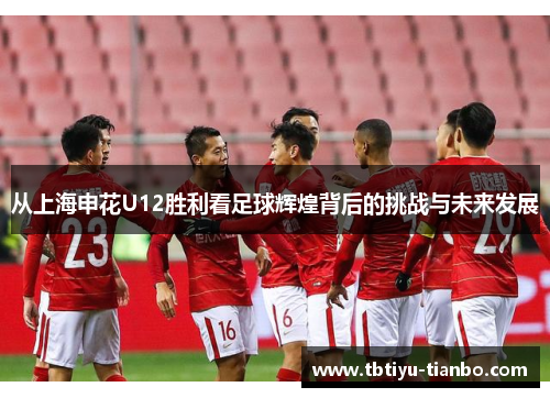 从上海申花U12胜利看足球辉煌背后的挑战与未来发展