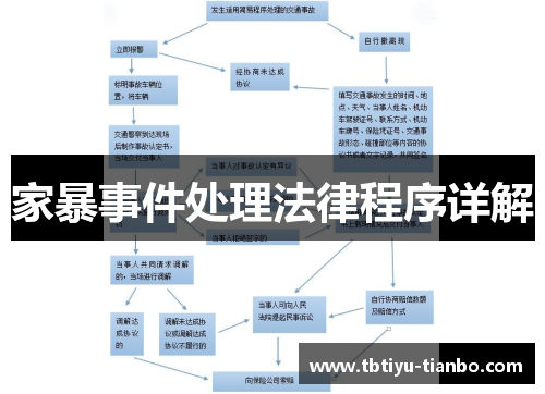 家暴事件处理法律程序详解