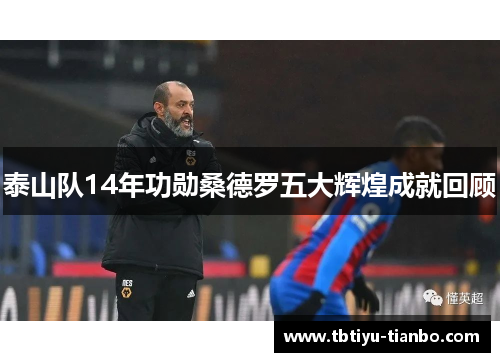 泰山队14年功勋桑德罗五大辉煌成就回顾