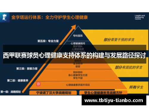 西甲联赛球员心理健康支持体系的构建与发展路径探讨