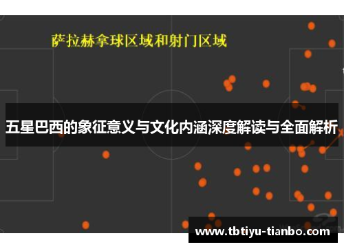 五星巴西的象征意义与文化内涵深度解读与全面解析