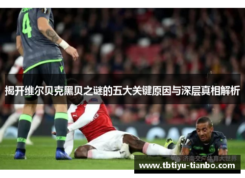 揭开维尔贝克黑贝之谜的五大关键原因与深层真相解析